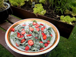 Read more about the article Kolumbianischer Spinat-Erdbeersalat